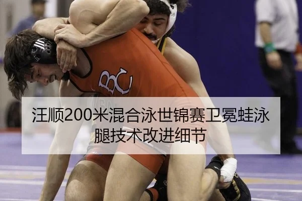 wang-shun-mi-hun-he-yong-shi-jin-sai-wei-mian-wa-yong-tui-ji-shu-gai-jin-xi-jie-2-349.jpg